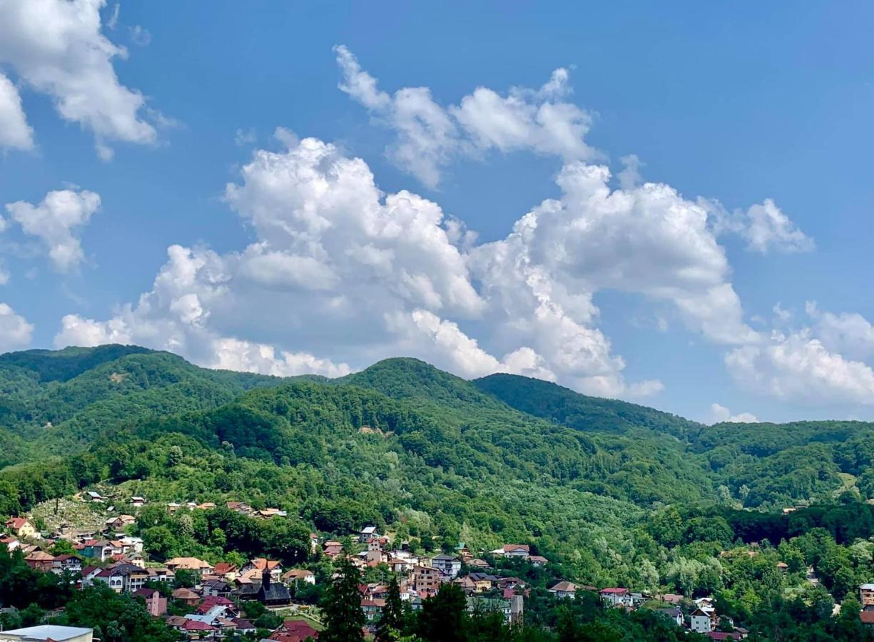 Отель Casa Olanesti Бэи­ле-Олэ­неш­ти Экстерьер фото