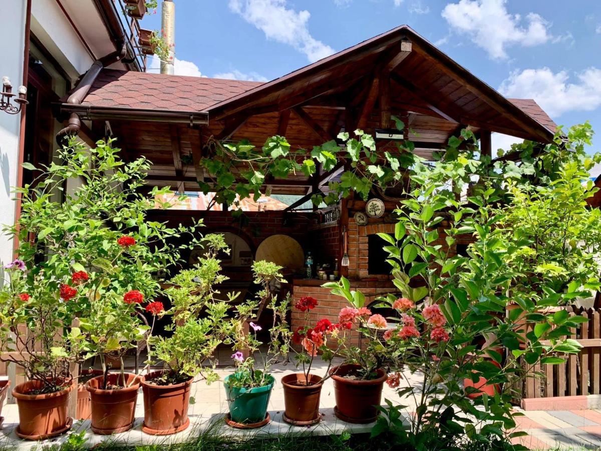 Отель Casa Olanesti Бэи­ле-Олэ­неш­ти Экстерьер фото